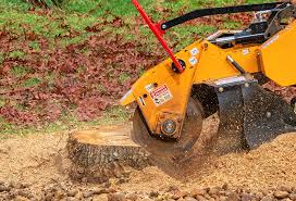Best Tree Trimming and Pruning  in North Zanesville, OH