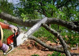 Best Lot and Land Clearing  in North Zanesville, OH