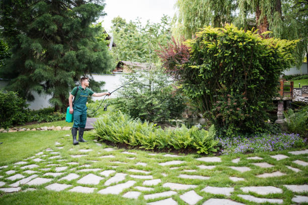 Best Lawn Renovation and Restoration  in North Zanesville, OH