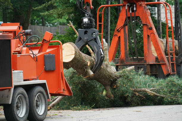 Best Lawn Irrigation Installation and Maintenance  in North Zanesville, OH